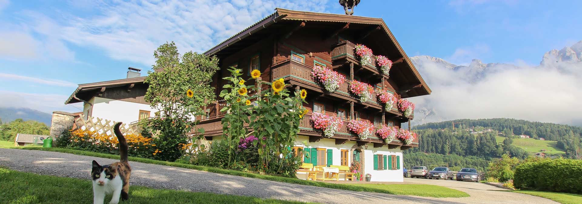 Bauernhofurlaub in Leogang